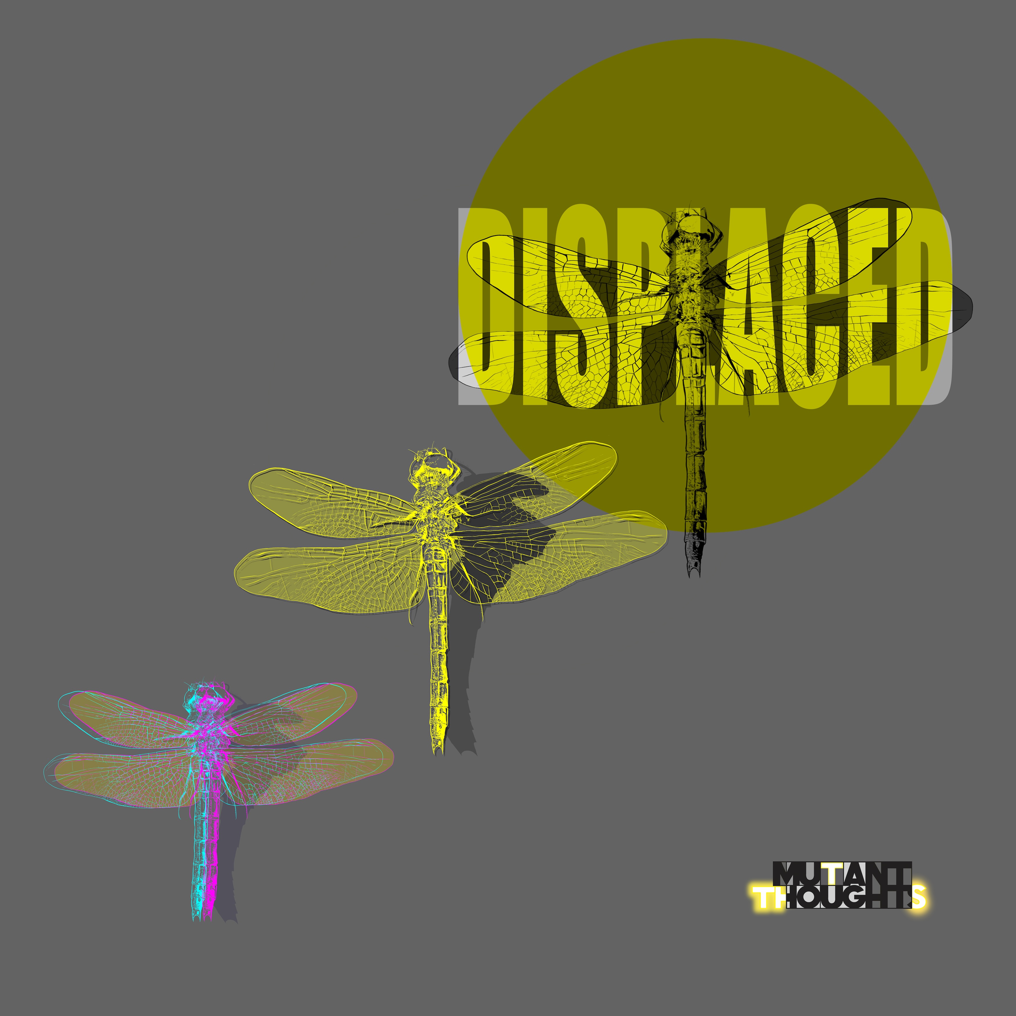 Displaced Single Cover
