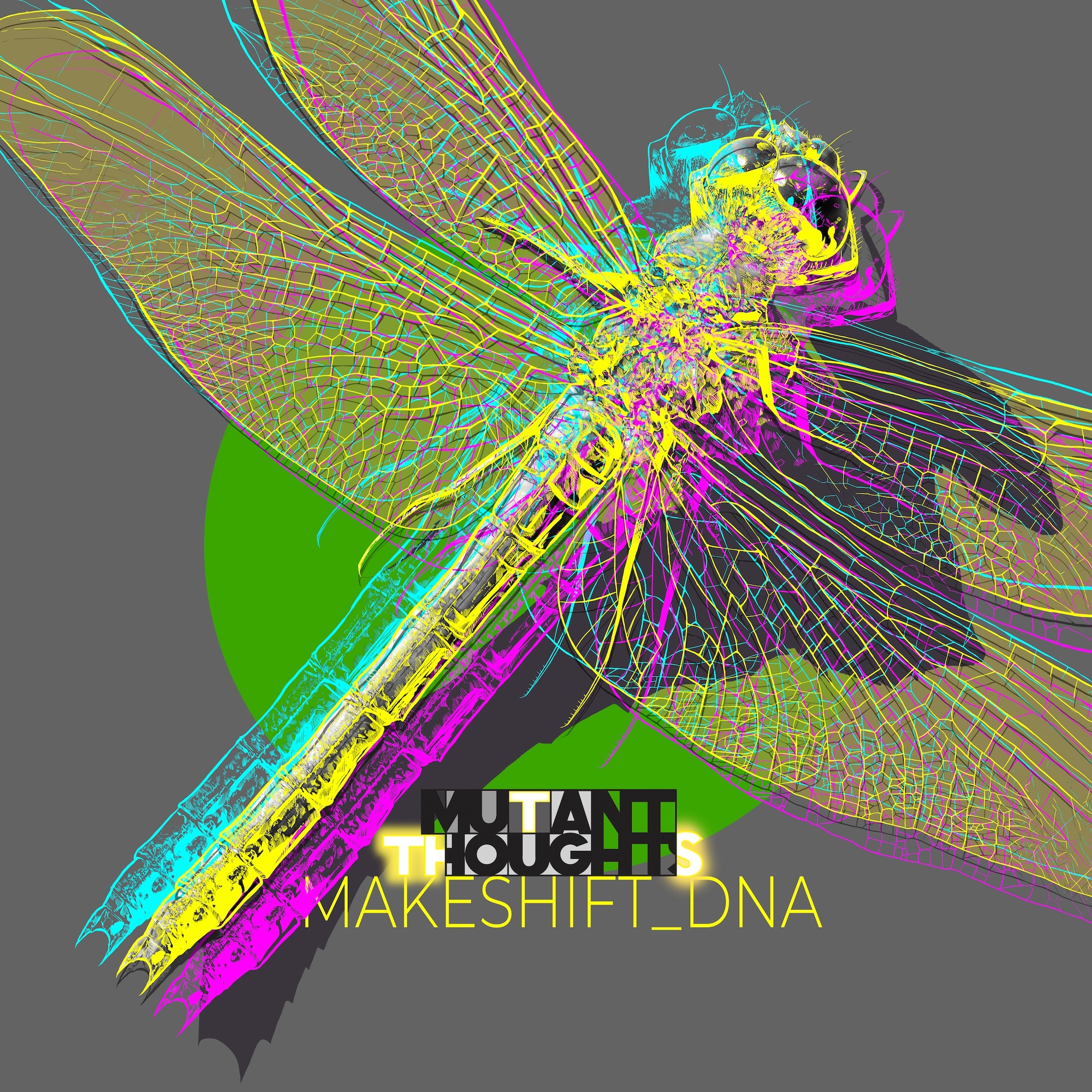 Makeshift_DNA Cover