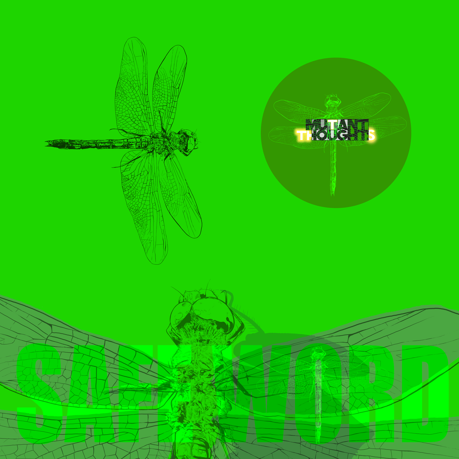 Syzygy Single Cover