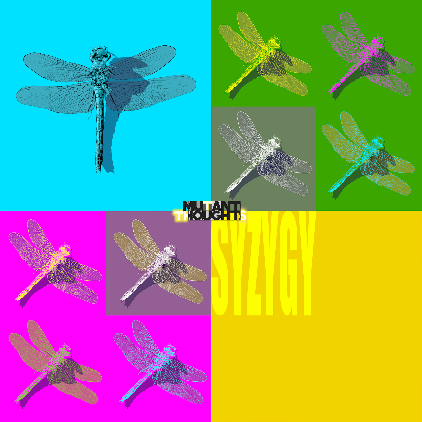 Syzygy Single Cover